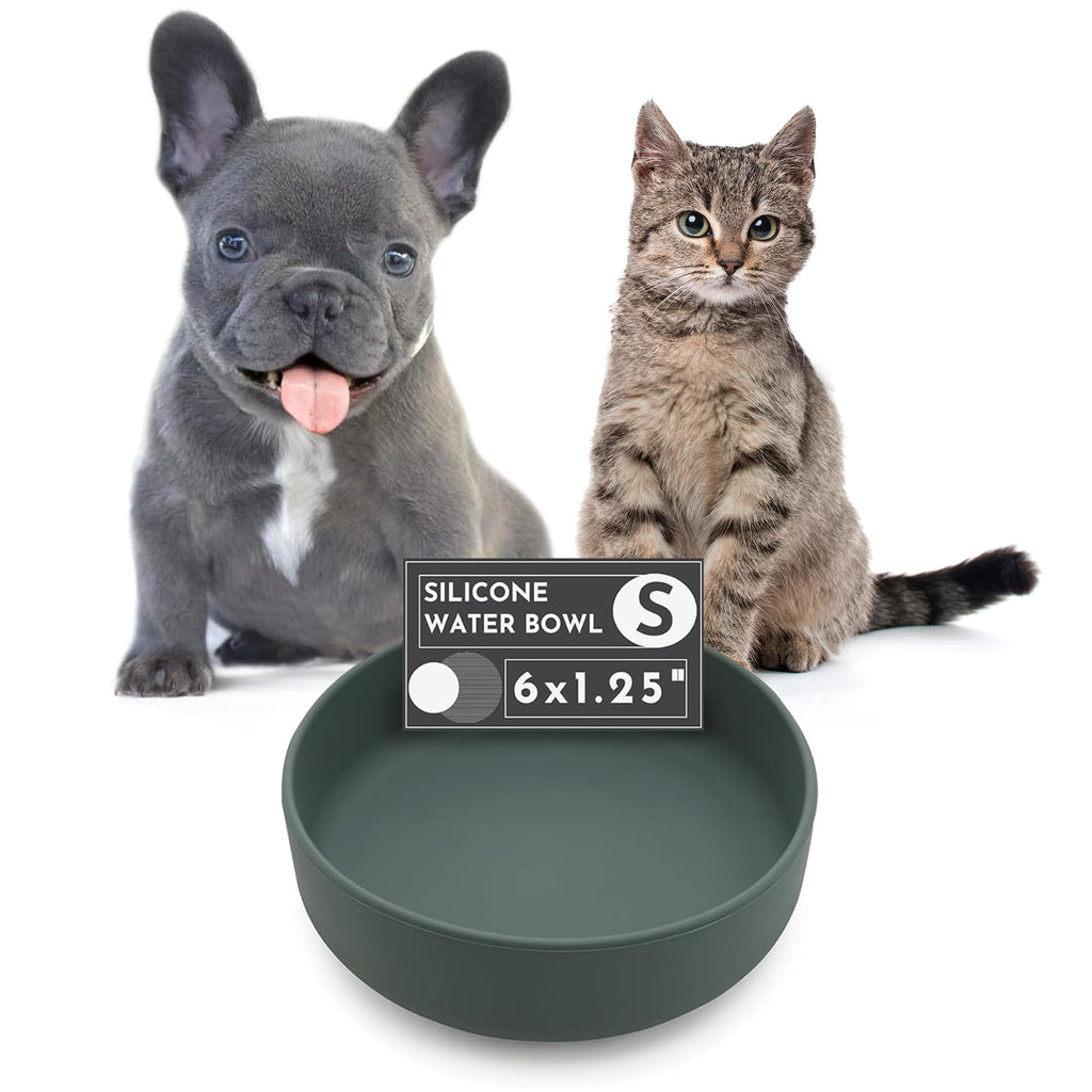 Should We Go? Silicone Dog Bowl – Non-Tip Suction Cup Water & Food Bowl for Small Dogs | Spruce