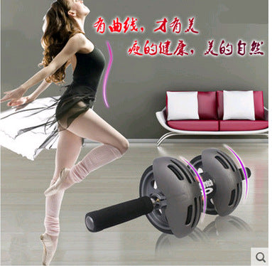 Double Wheel Rebound Ab Roller - Spring Rebound Abdominal Trainer with Foam Handles & Metal Frame | Home Gym