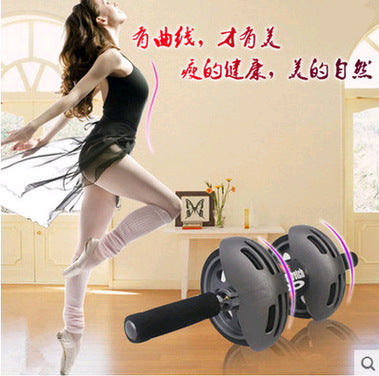 Double Wheel Rebound Ab Roller - Spring Rebound Abdominal Trainer with Foam Handles & Metal Frame | Home Gym