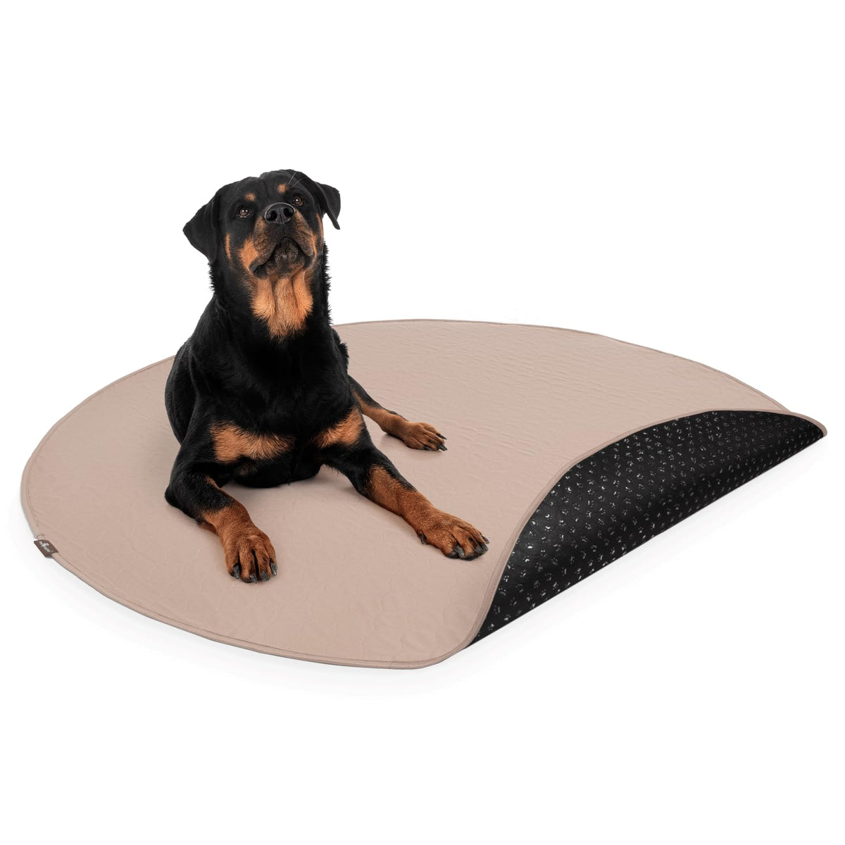 Paw Inspired 60" Round Washable Pee Pads – Extra Large Reusable Waterproof Dog Training Pads