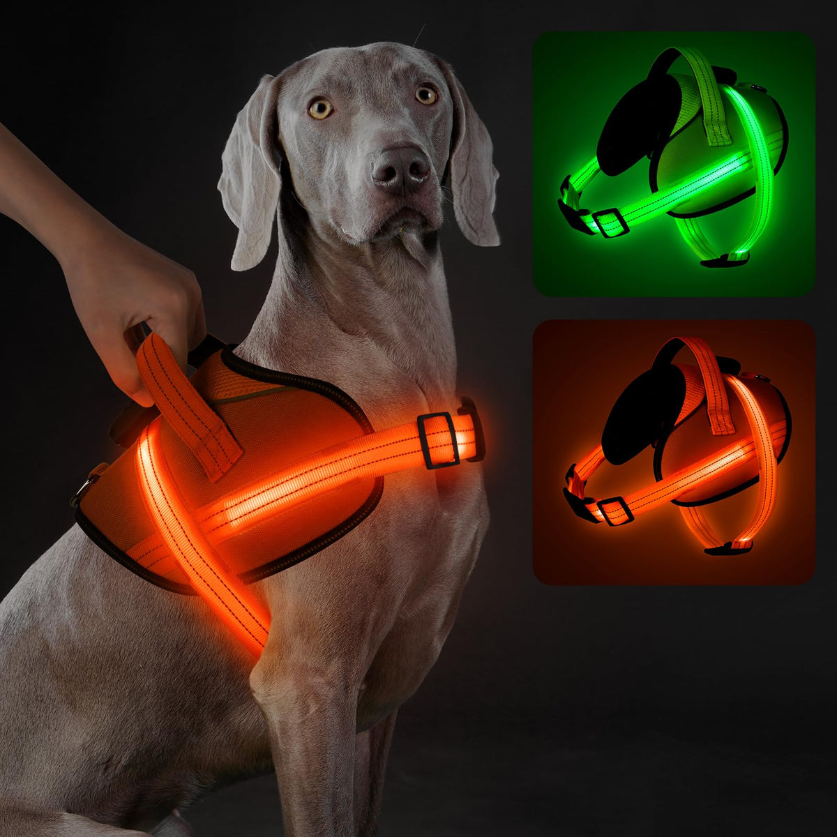 LED Light Up Dog Harness – Rechargeable, No-Pull & Reflective Safety Vest for Night Walking