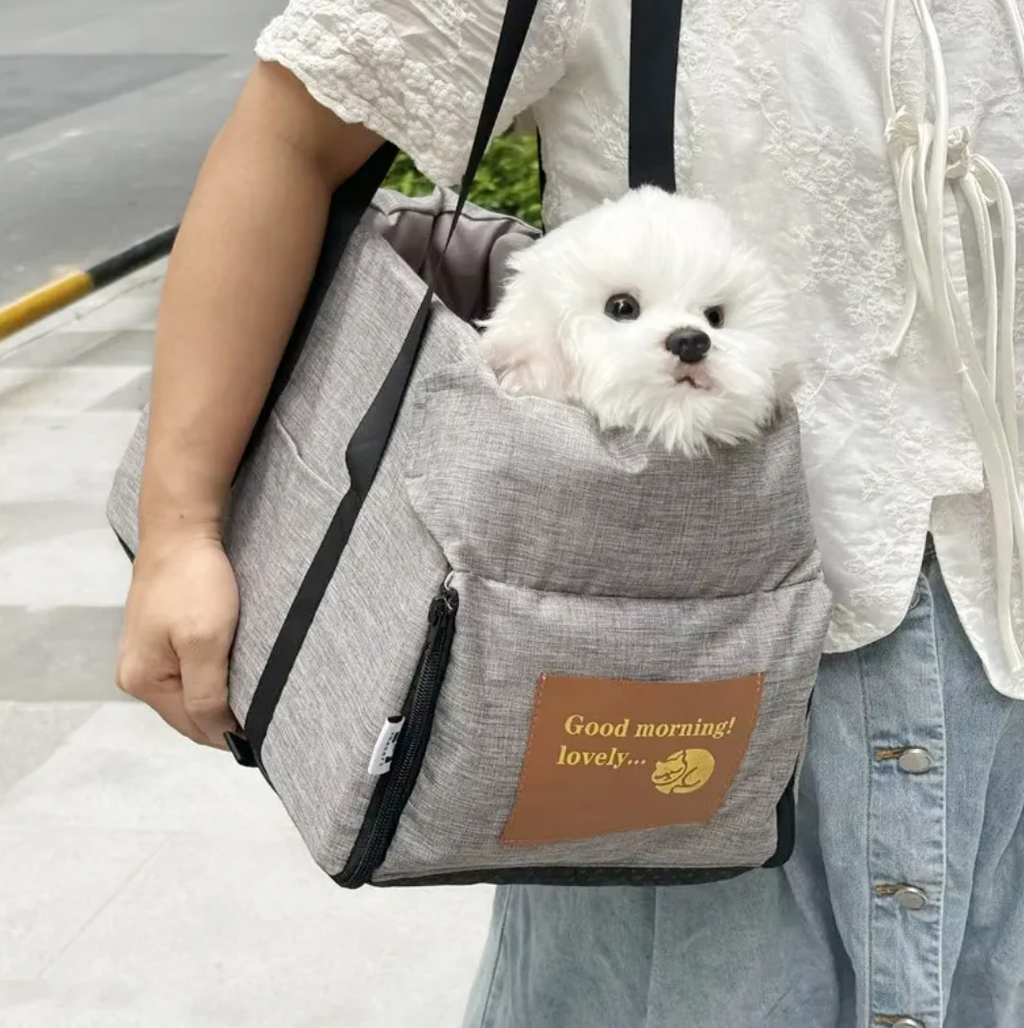 Compact Foldable Pet Carrier Bag – Breathable Mesh Travel Bag for Cats & Small Dogs