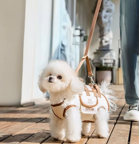 Pet Crossbody Carrier Bag – Hands-Free Breathable Carrier for Small Dogs & Cats