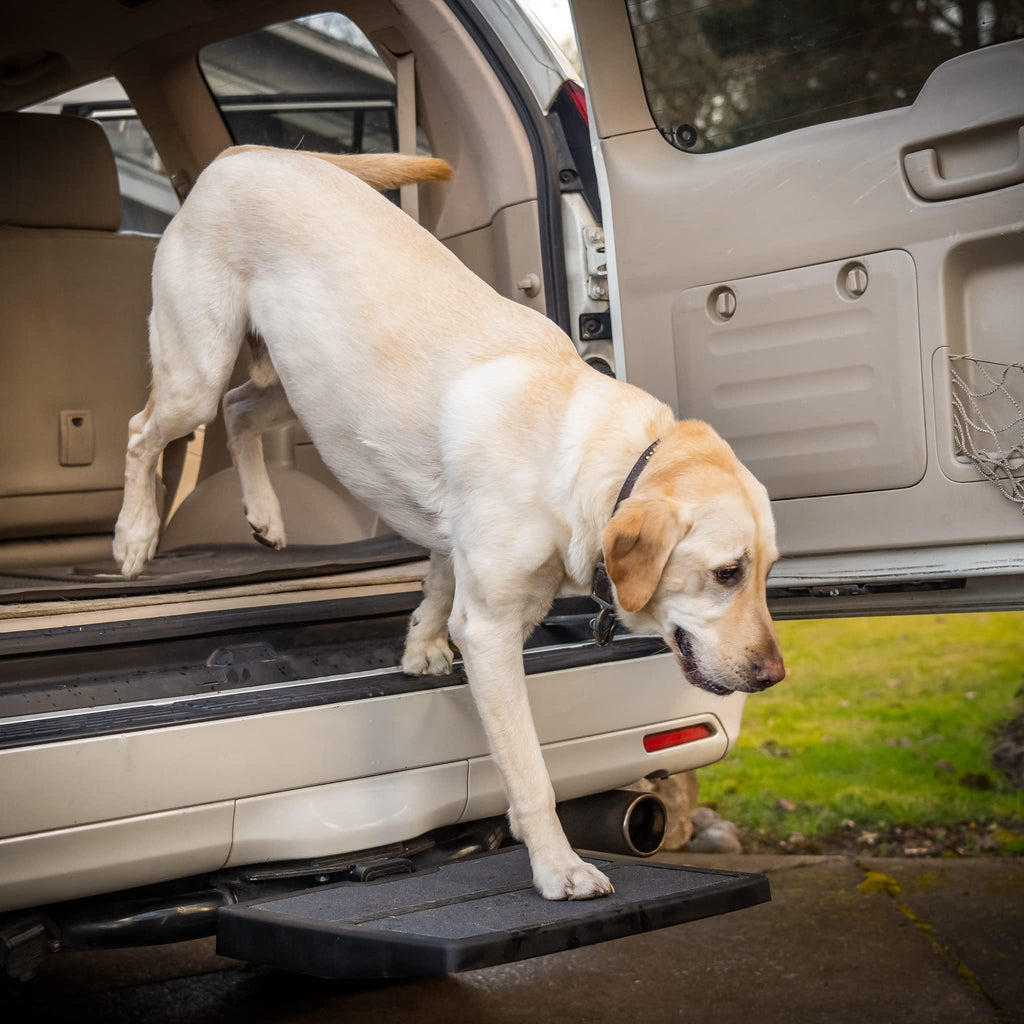 Otto Step Pet Ramp & Car Step – Portable 2" Hitch Receiver Dog Step | Made in USA