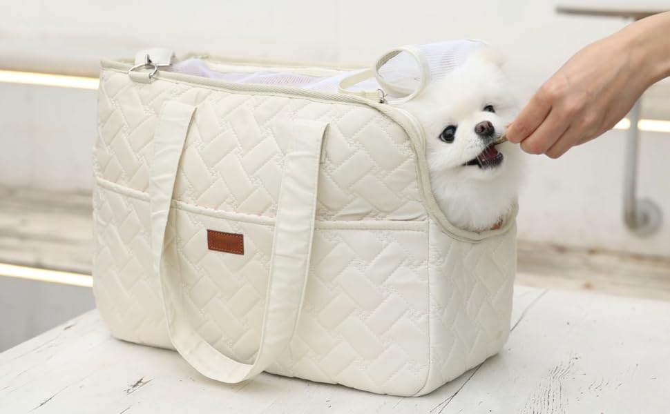 Pet Carrier Bag – Lightweight Mesh Handbag Style Carrier for Cats & Small Dogs